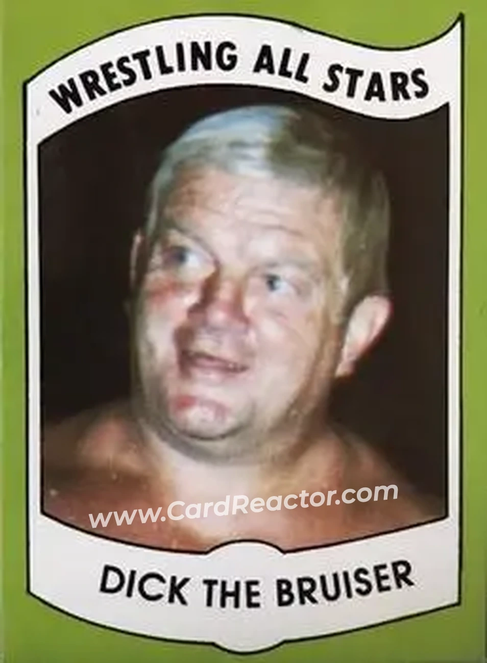 1982 Wrestling All Stars Series A #33 - Dick the Bruiser