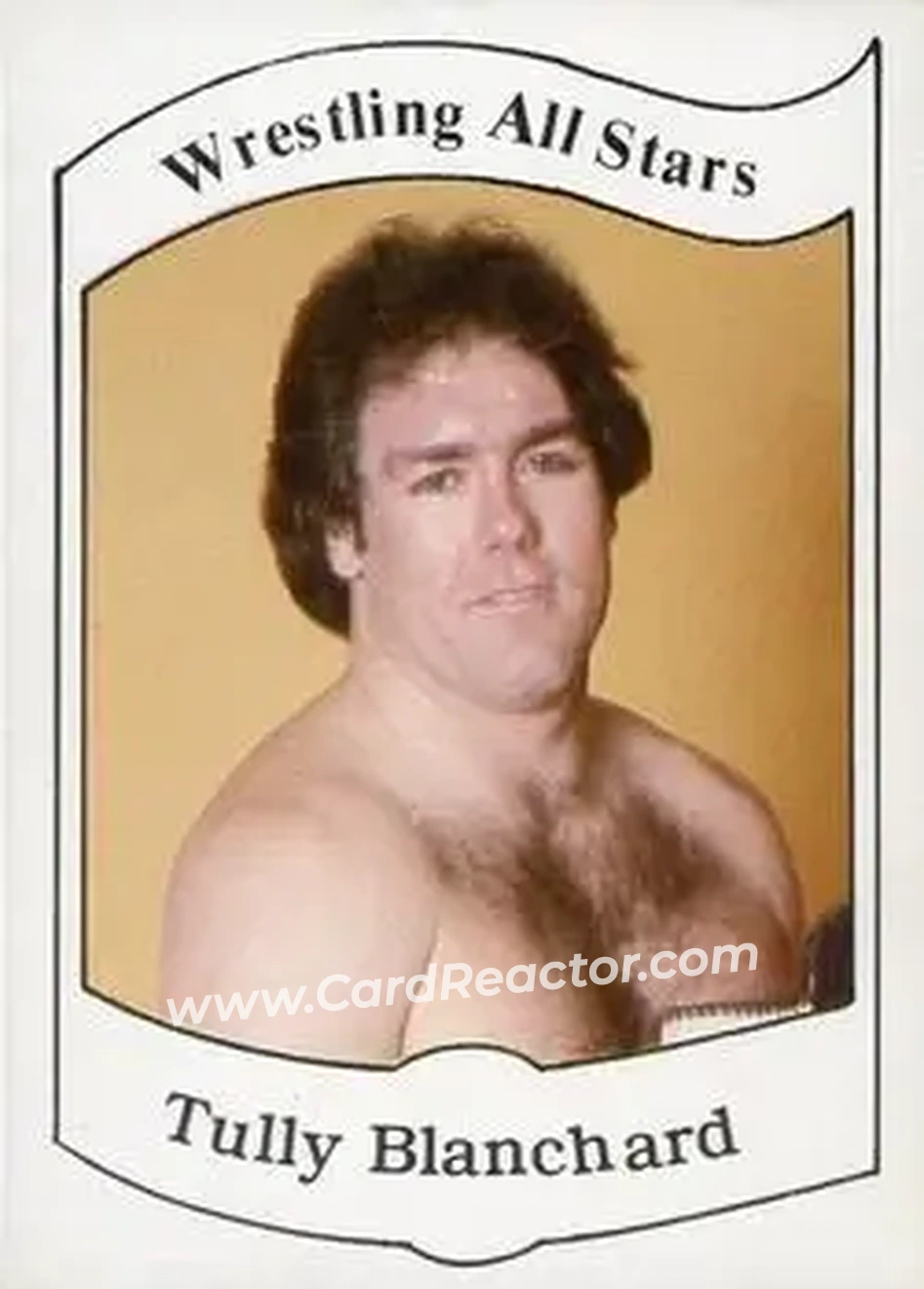 1983 Wrestling All Stars Series A #6 - Tully Blanchard