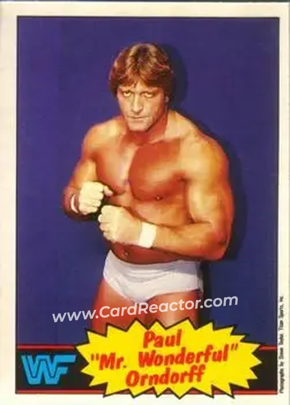 1985 O-Pee-Chee WWF Pro Wrestling Stars #5 - Paul Orndorff