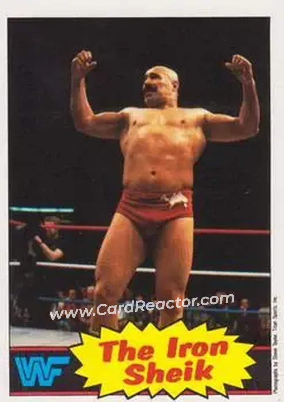 1985 Topps WWF Pro Wrestling Stars #2 - The Iron Sheik