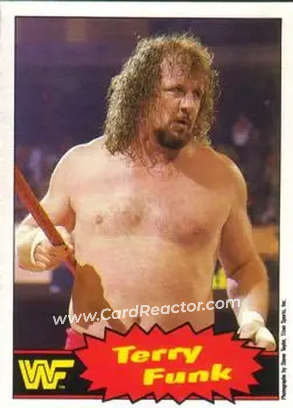 1985 O-Pee-Chee WWF Pro Wrestling Stars Series 2 #15 - Terry Funk