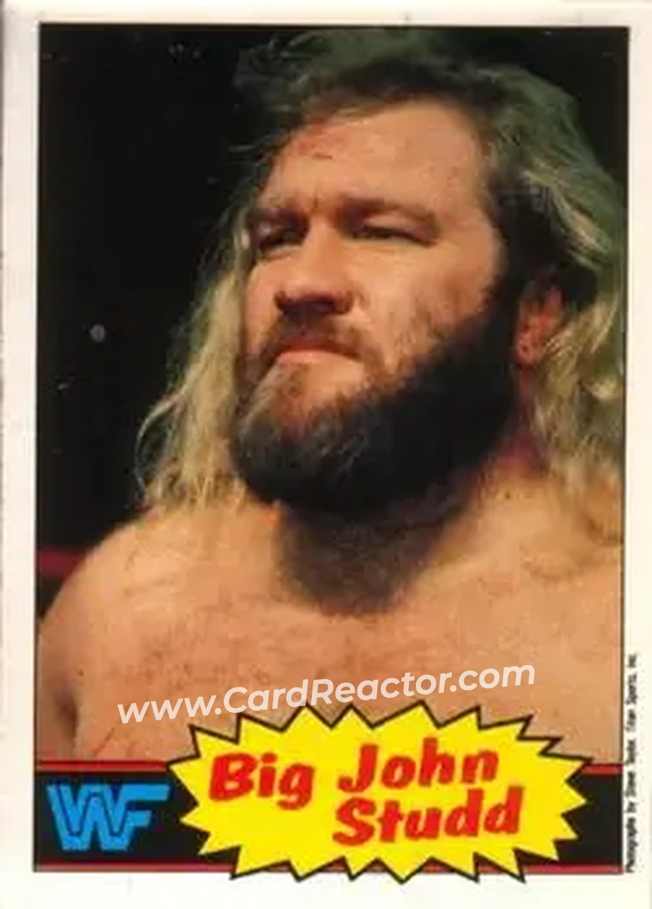 1985 O-Pee-Chee WWF Pro Wrestling Stars #12 - Big John Studd