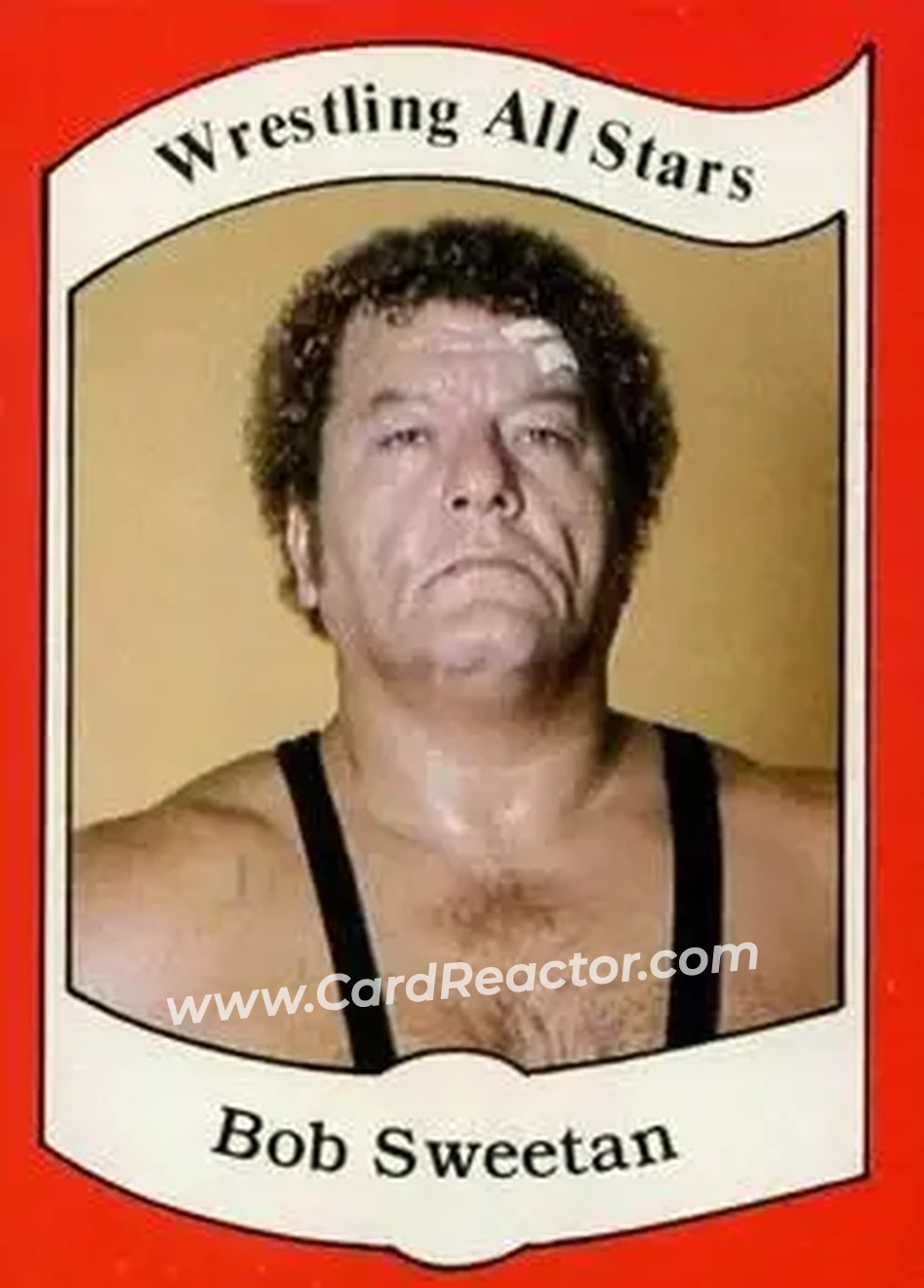 1983 Wrestling All Stars Series A #19 - Bob Sweetan