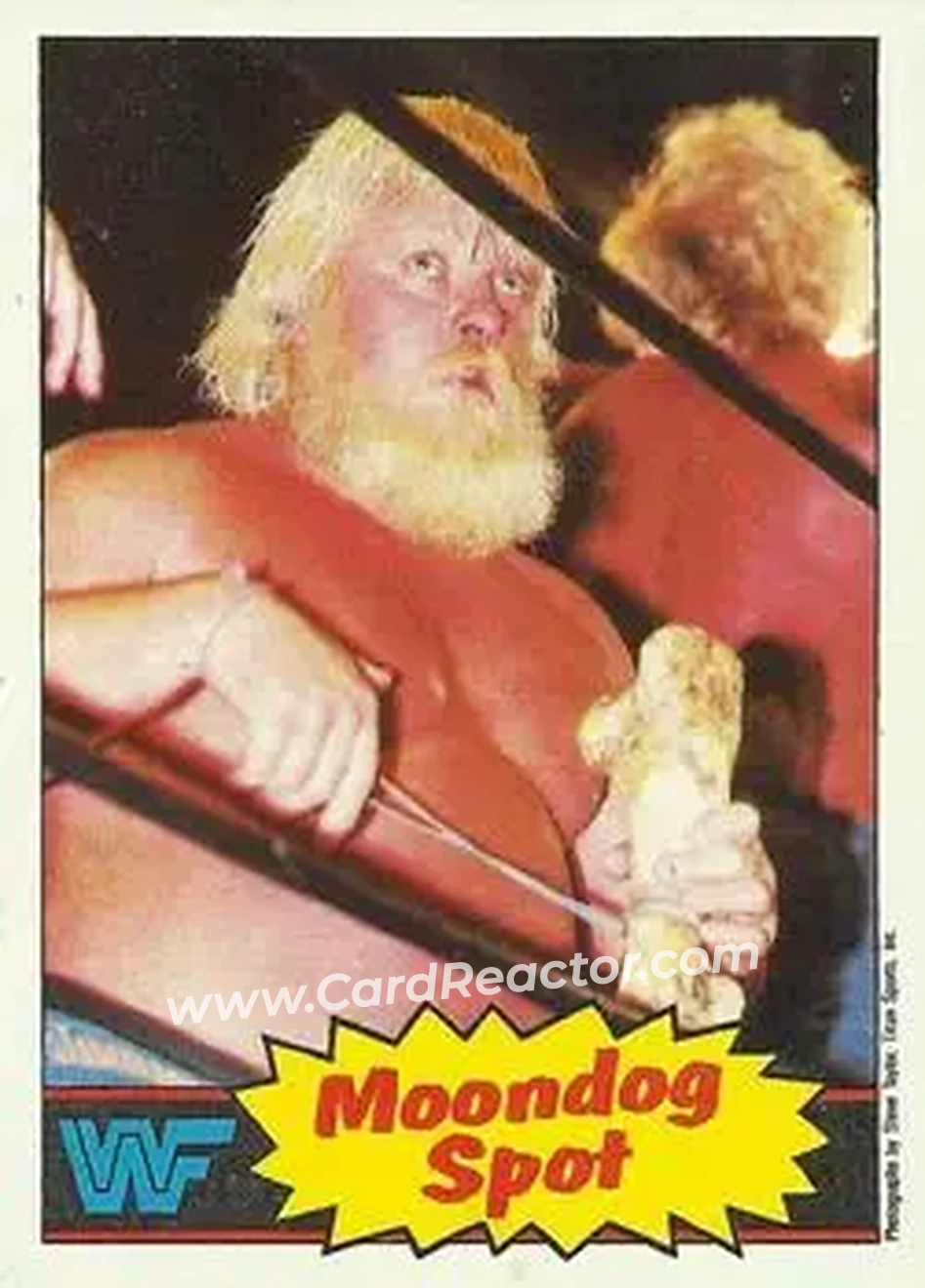 1985 Topps WWF Pro Wrestling Stars #19 - Moondog Spot