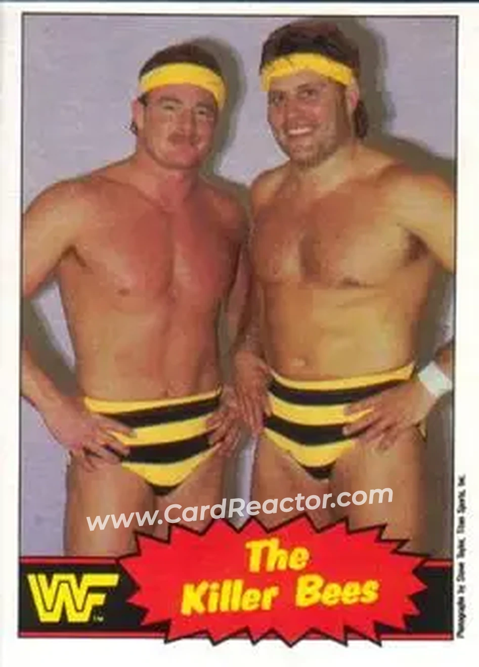 1985 O-Pee-Chee WWF Pro Wrestling Stars Series 2 #46 - The Killer Bees