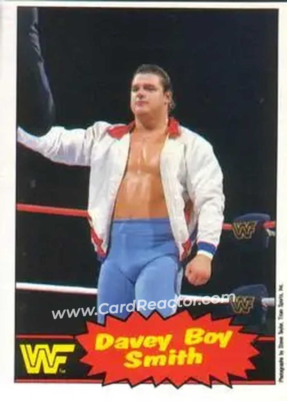 1985 O-Pee-Chee WWF Pro Wrestling Stars Series 2 #48 - Davey Boy Smith