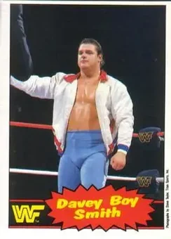 1985 O-Pee-Chee WWF Pro Wrestling Stars Series 2 #48 - Davey Boy Smith