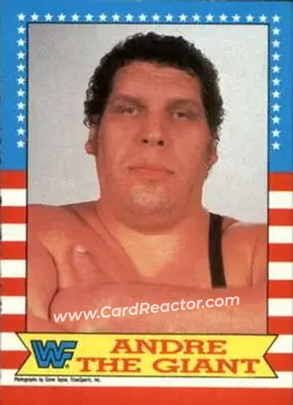 1987 O-Pee-Chee WWF #2 - Andre the Giant