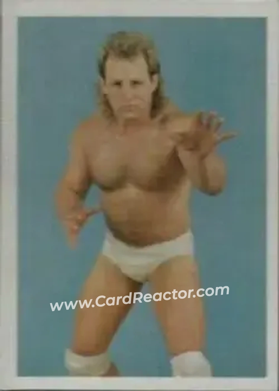 1988 Wonderama NWA #2 - Tommy Angel