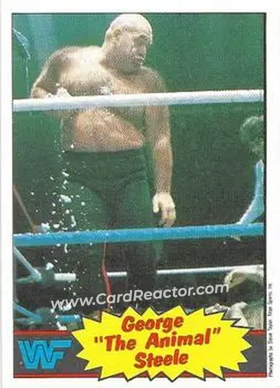 1986 Scanlens WWF Pro Wrestler #21 - George "The Animal" Steele