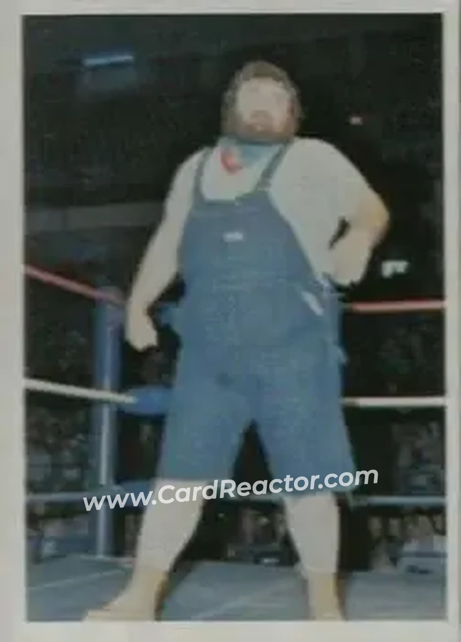 1988 Wonderama NWA #11 - Mighty Wilbur