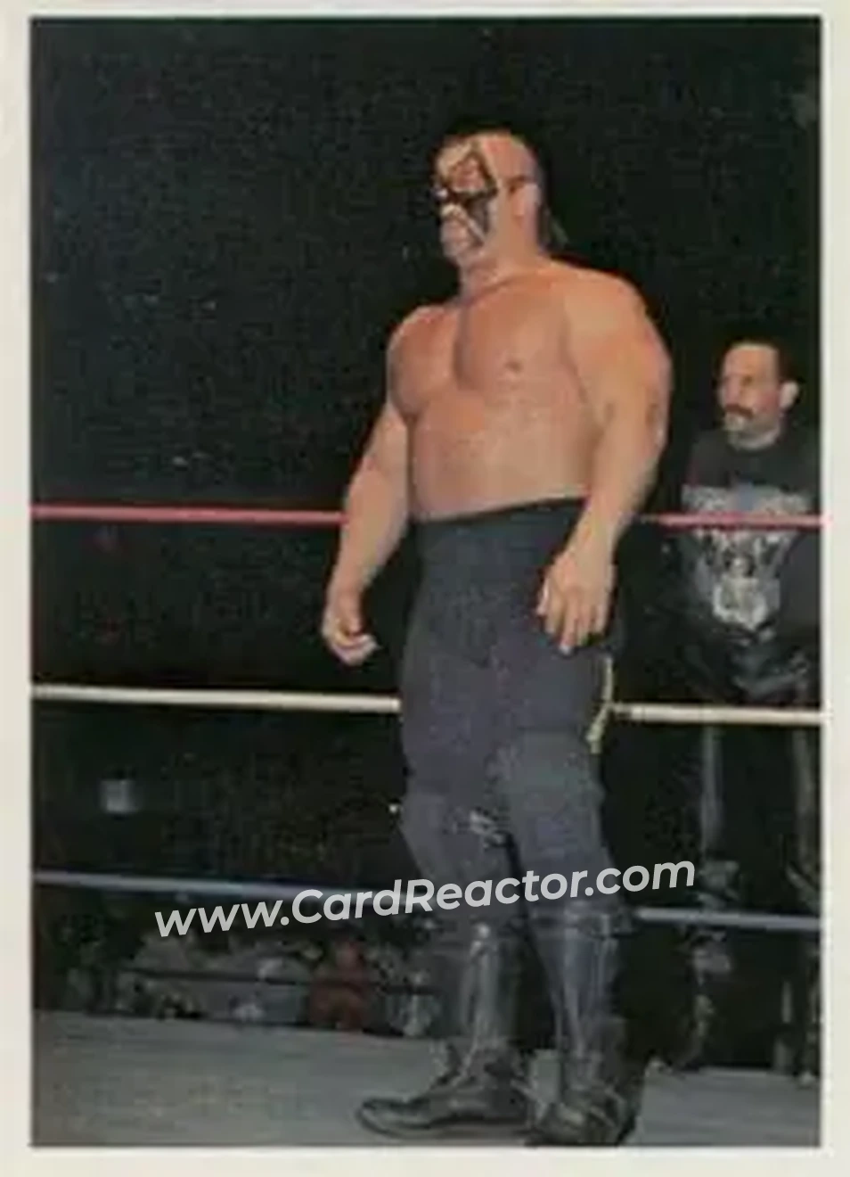 1988 Wonderama NWA #18 - Paul Ellering