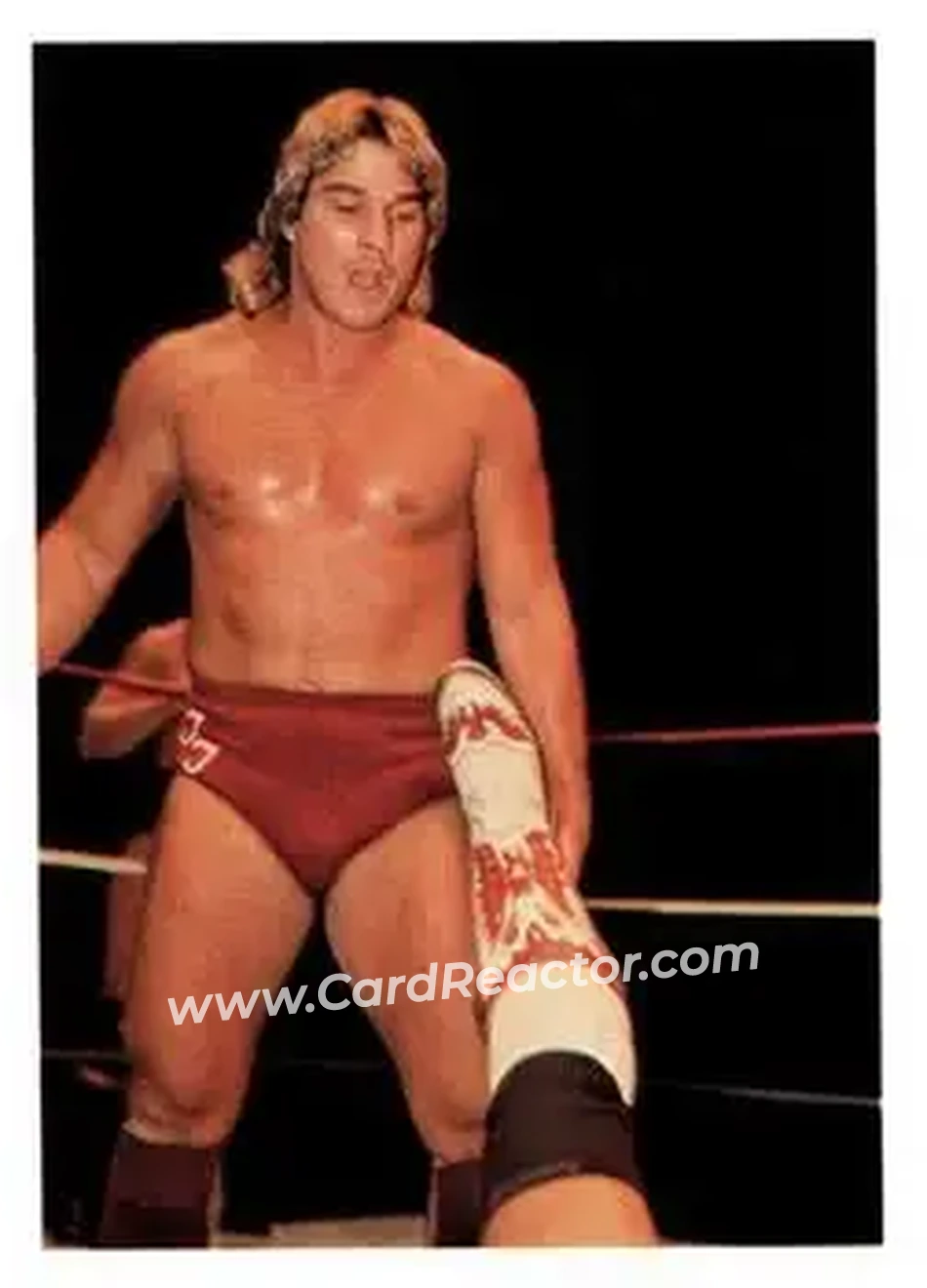 1988 Wonderama NWA #22 - Red Rooster