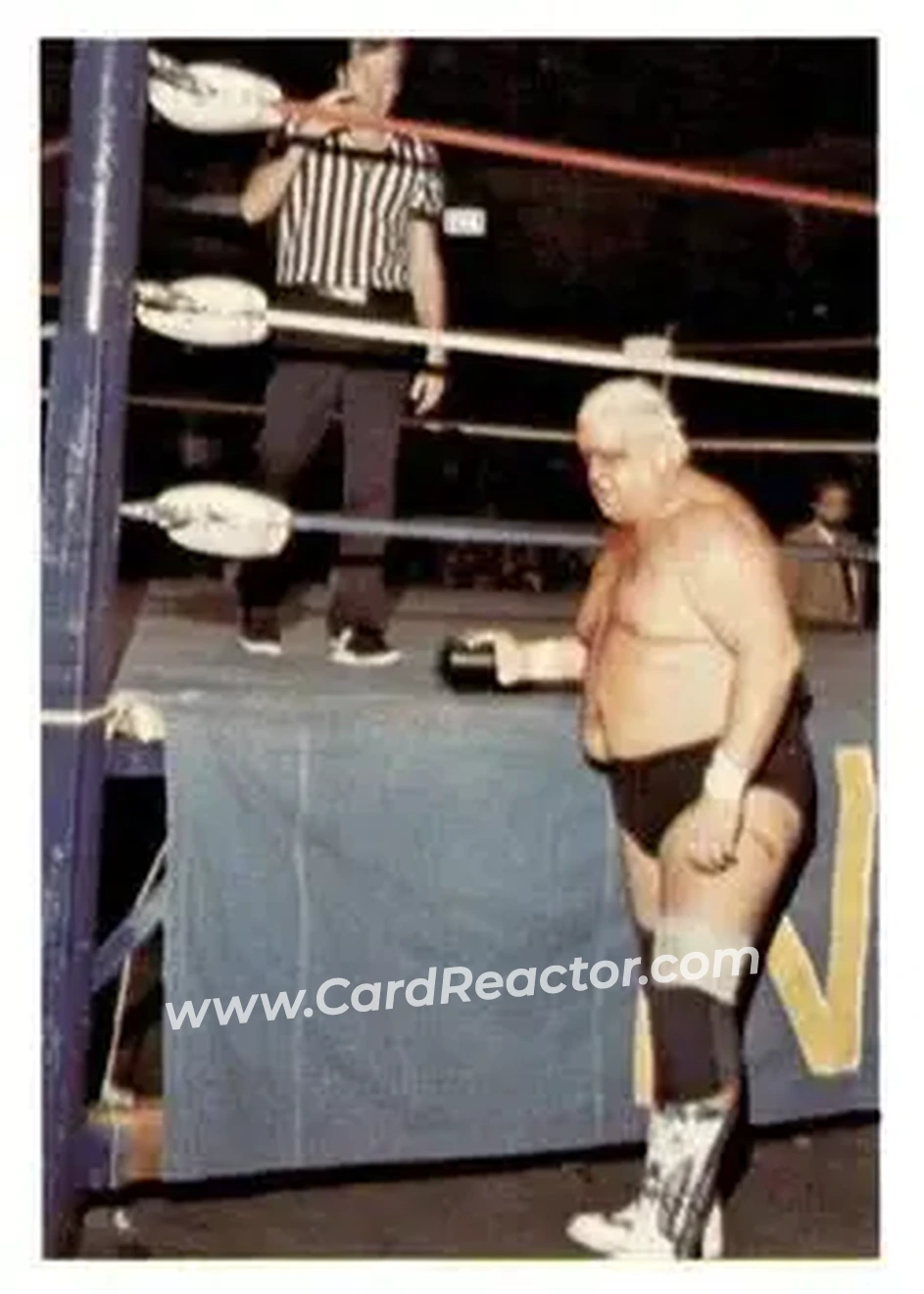 1988 Wonderama NWA #39 - Dusty Rhodes