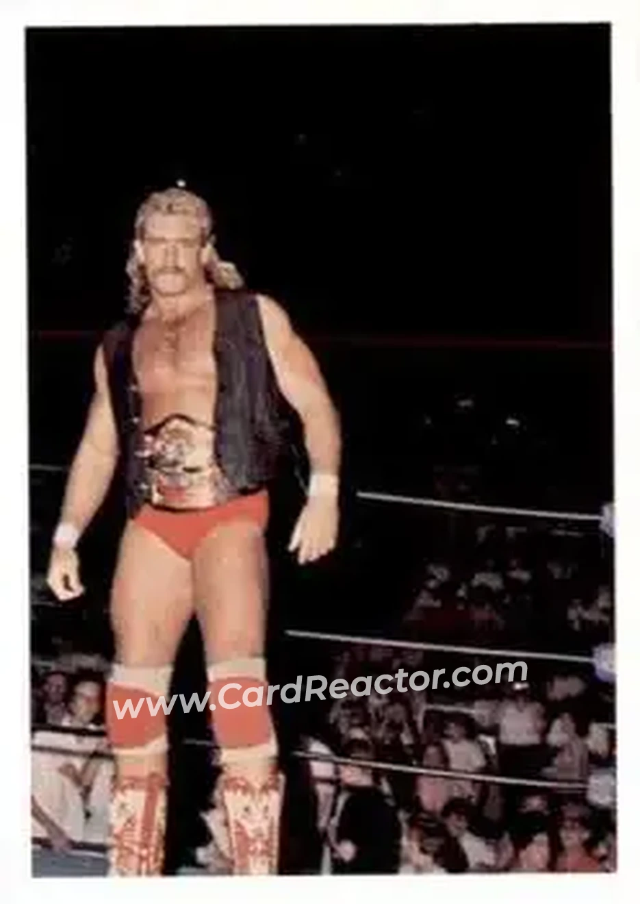 1988 Wonderama NWA #61 - Magnum T.A.