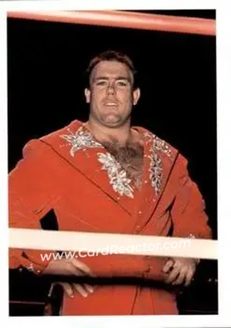 1988 Wonderama NWA #84 - Tully Blanchard