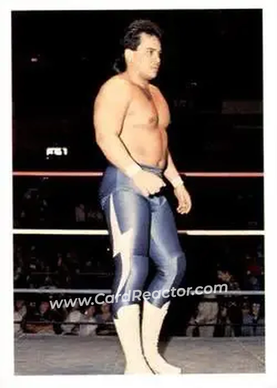 1988 Wonderama NWA #87 - Ricky Santana