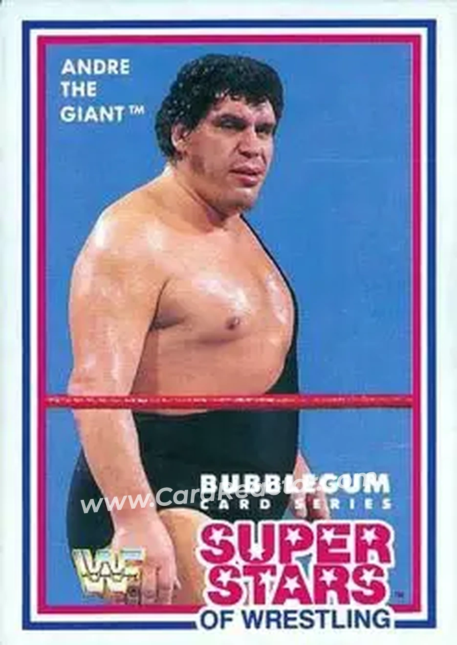 1989 Market-Scene WWF Superstars of Wrestling Series 1 #2 - Andre the Giant