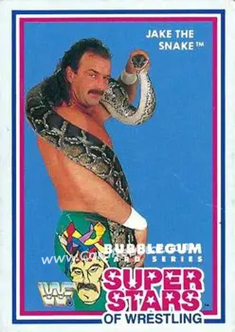1989 Market-Scene WWF Superstars of Wrestling Series 1 #3 - Jake "The Snake" Roberts