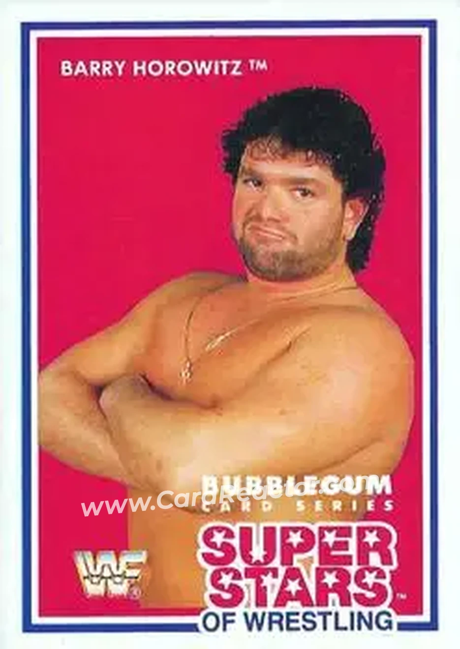 1989-90 Market-Scene WWF Superstars of Wrestling Series 3 #19 - Barry Horowitz