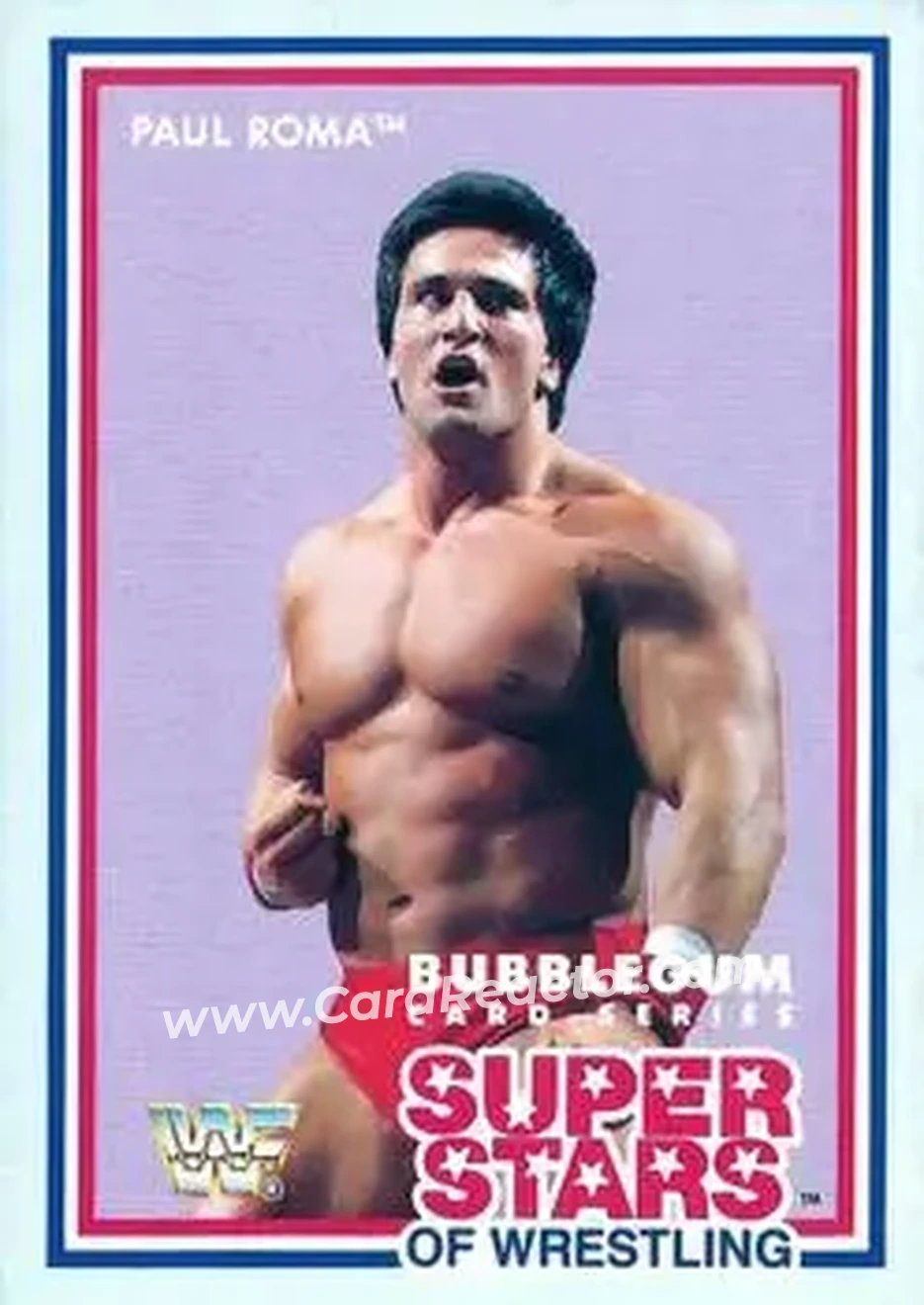 1989 Market-Scene WWF Superstars of Wrestling Series 2 #17 - Paul Roma