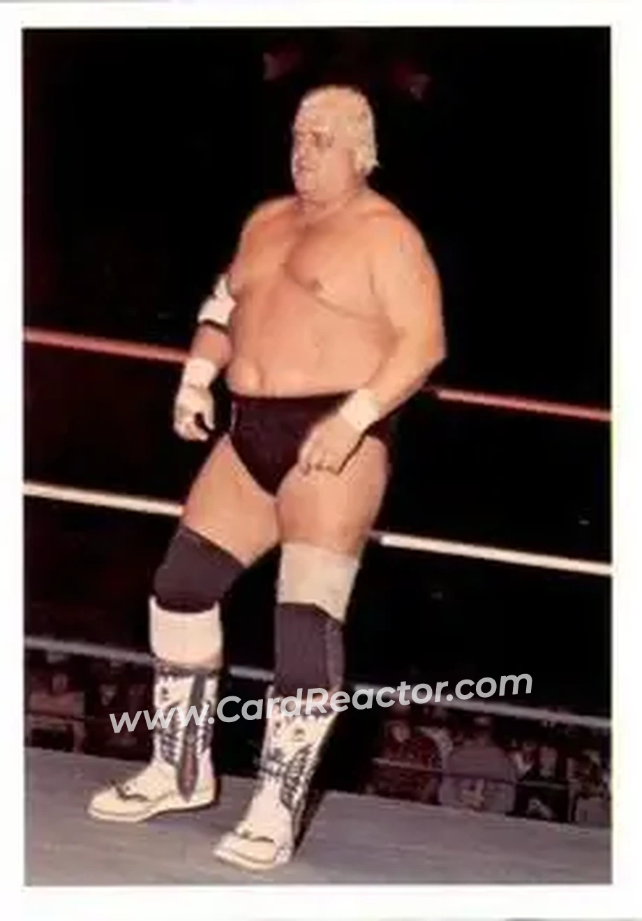 1988 Wonderama NWA #105 - Dusty Rhodes