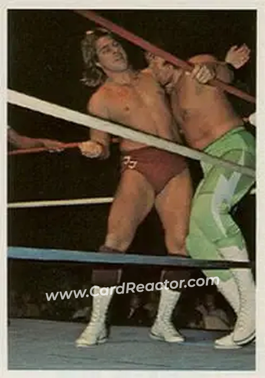 1988 Wonderama NWA #109 - Red Rooster
