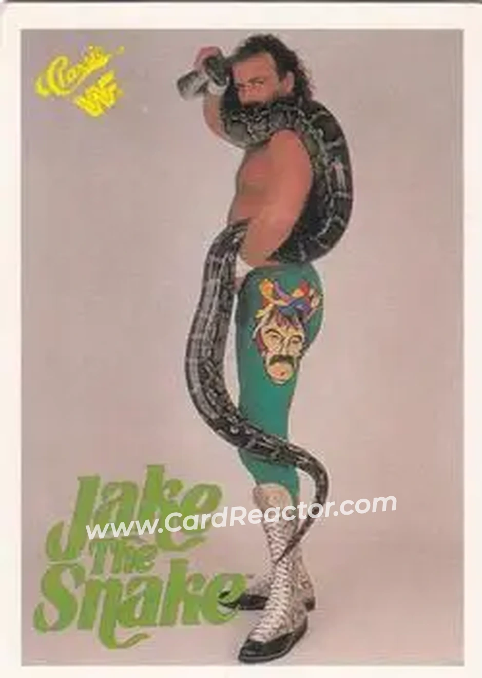 1990 Classic WWF #7 - Jake "The Snake" Roberts