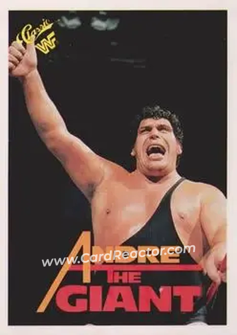 1990 Classic WWF #10 - Andre the Giant