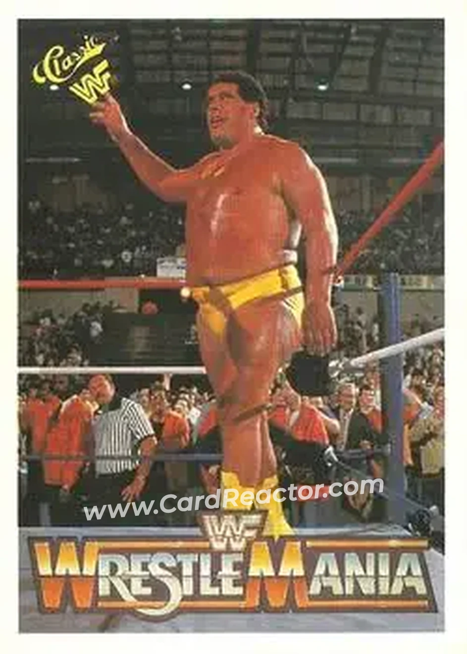 1990 Classic WWF The History of Wrestlemania #16 - Andre the Giant