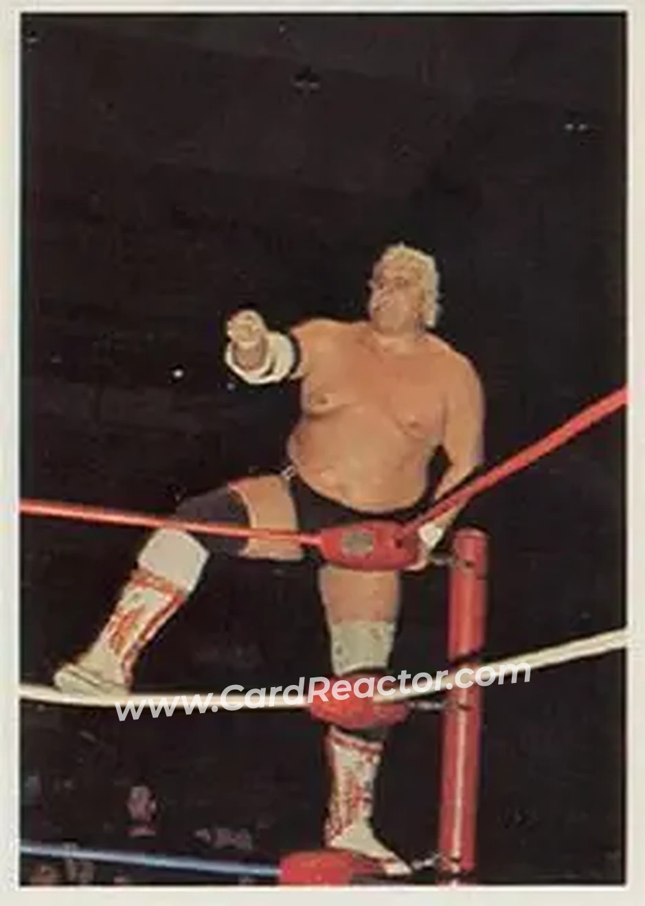 1988 Wonderama NWA #120 - Dusty Rhodes