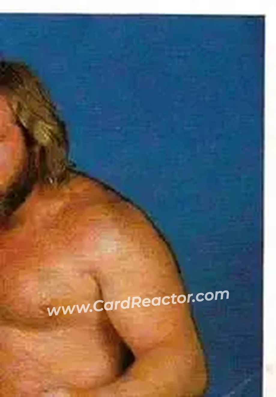 1986 Hulk Hogan's Rock 'n' Wrestling Stickers #143 - Big John Studd