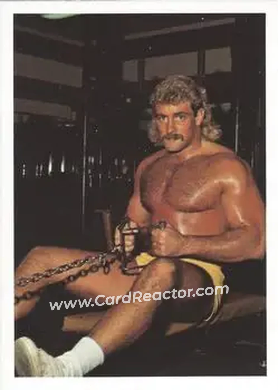 1988 Wonderama NWA #139 - Magnum T.A.