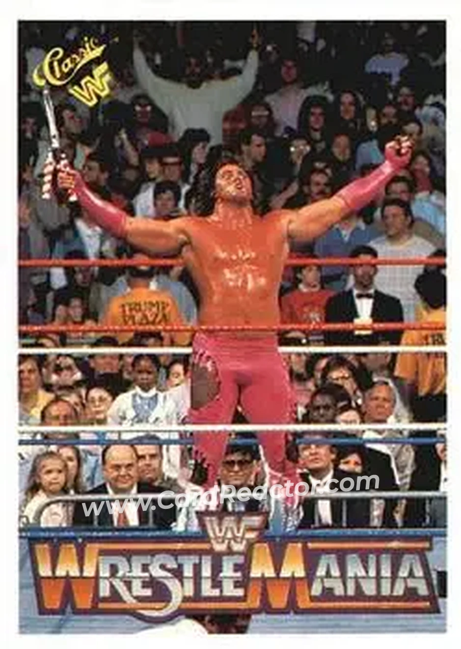 1990 Classic WWF The History of Wrestlemania #42 - Brutus "The Barber" Beefcake