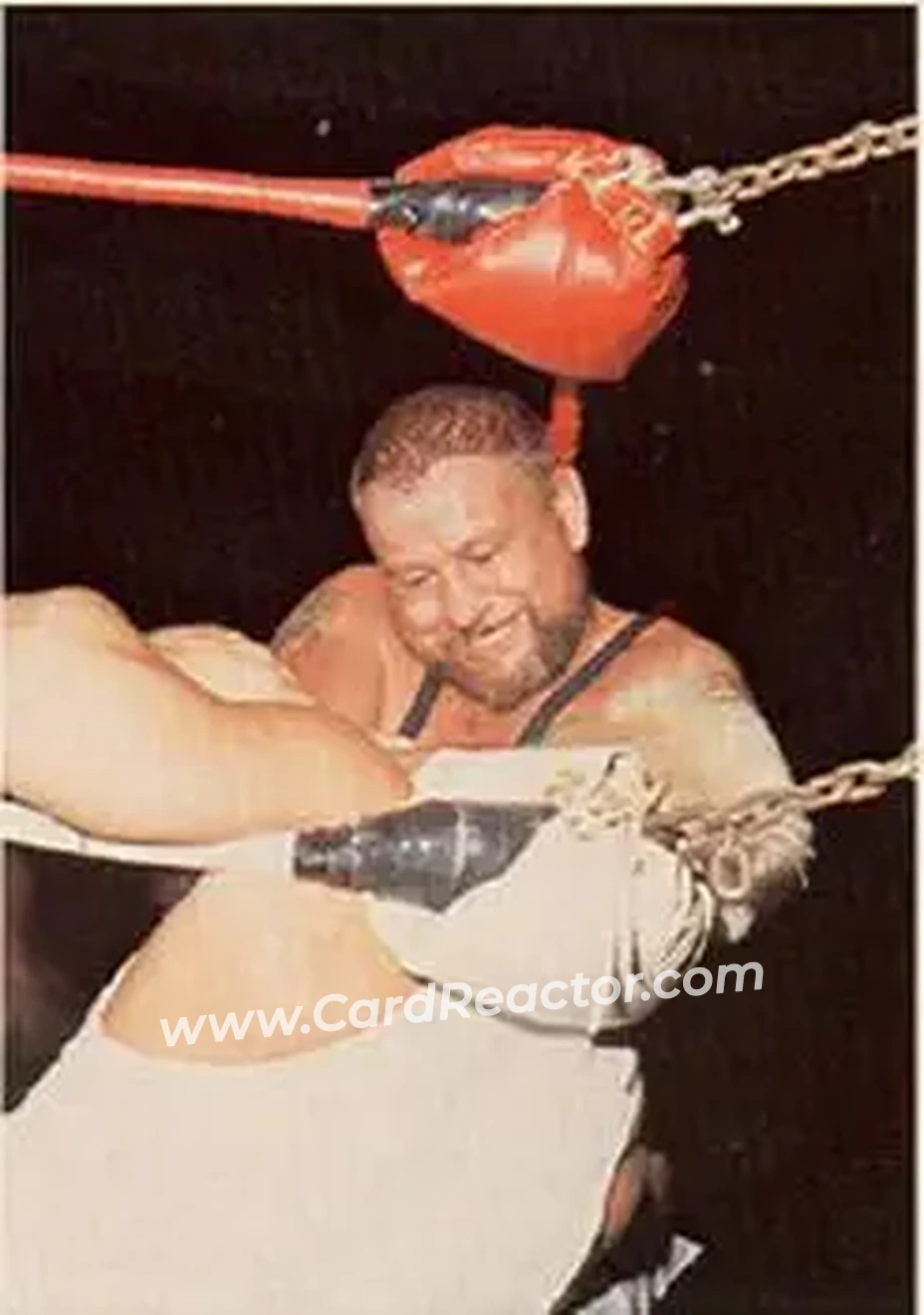1988 Wonderama NWA #163 - Luke Williams