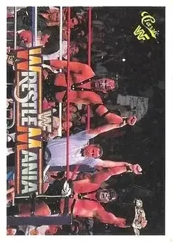 1990 Classic WWF The History of Wrestlemania #77 - Demolition