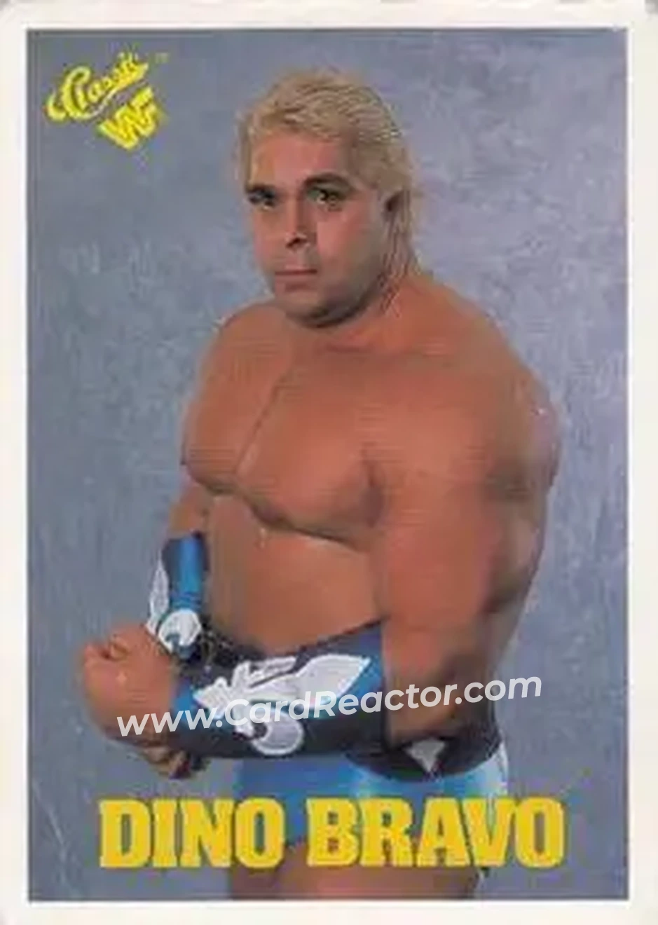 1990 Classic WWF #84 - Dino Bravo