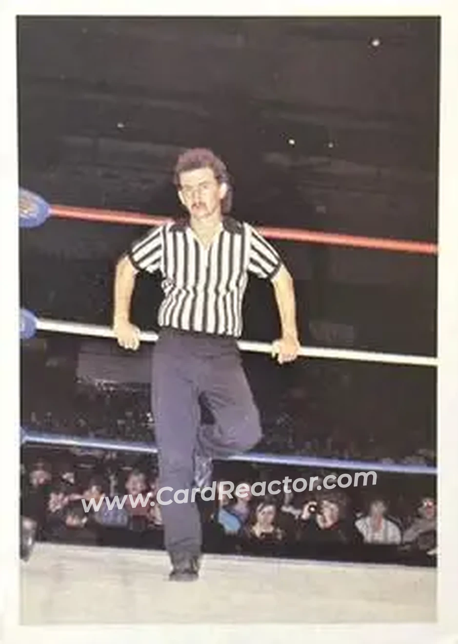 1988 Wonderama NWA #176 - Pee Wee Anderson