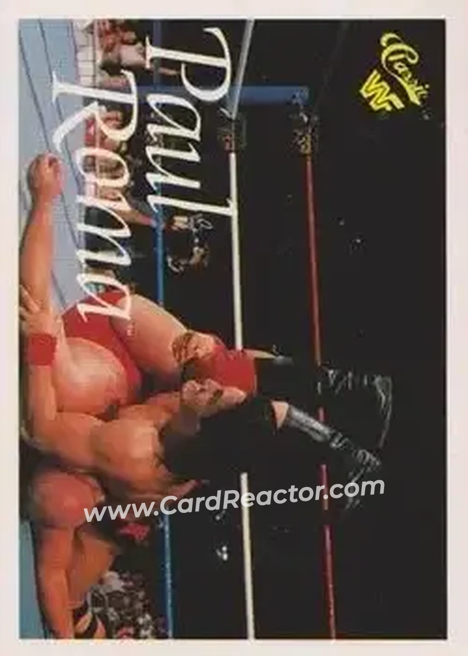 1990 Classic WWF #98 - Paul Roma