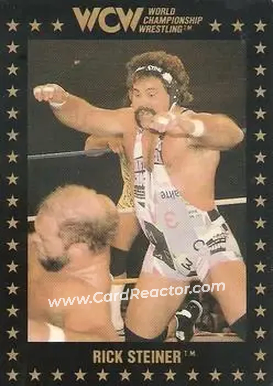 1991 Championship Marketing WCW #4 - Rick Steiner