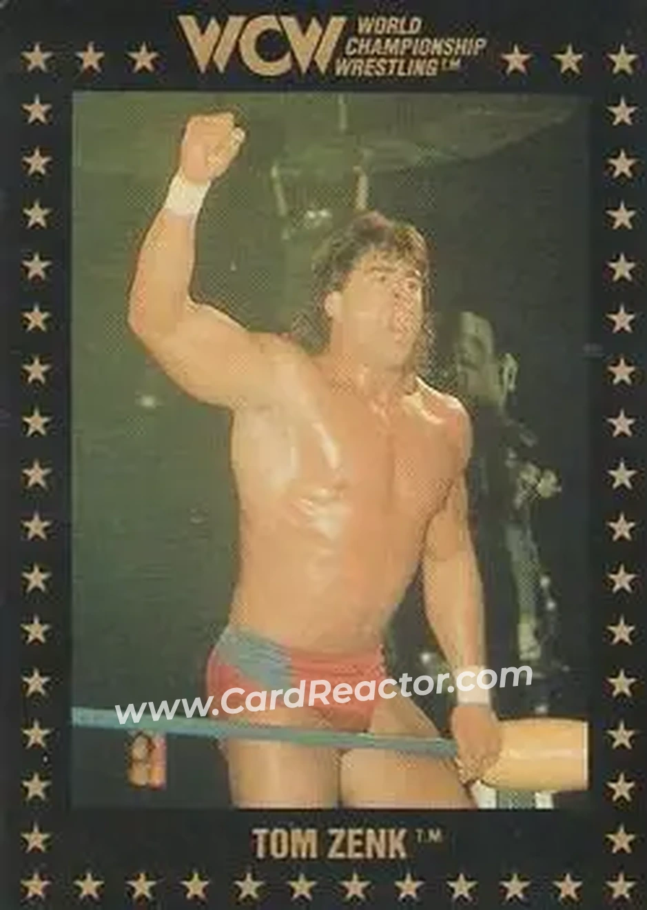 1991 Championship Marketing WCW #9 - Tom Zenk