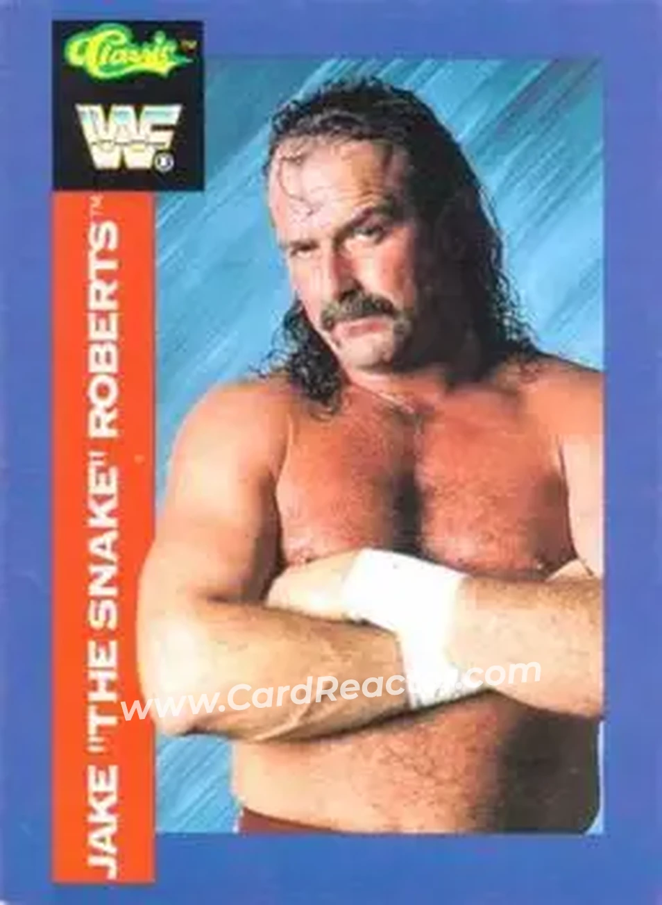 1991 Classic WWF Superstars #4 - Jake "The Snake" Roberts
