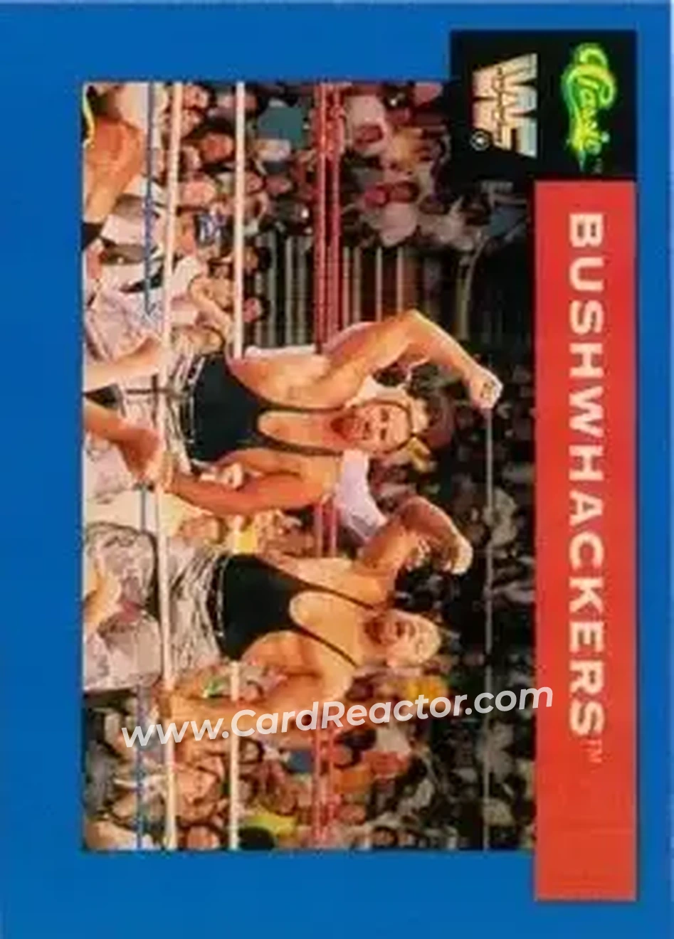 1991 Classic WWF Superstars #15 - The Bushwhackers (Butch & Luke)