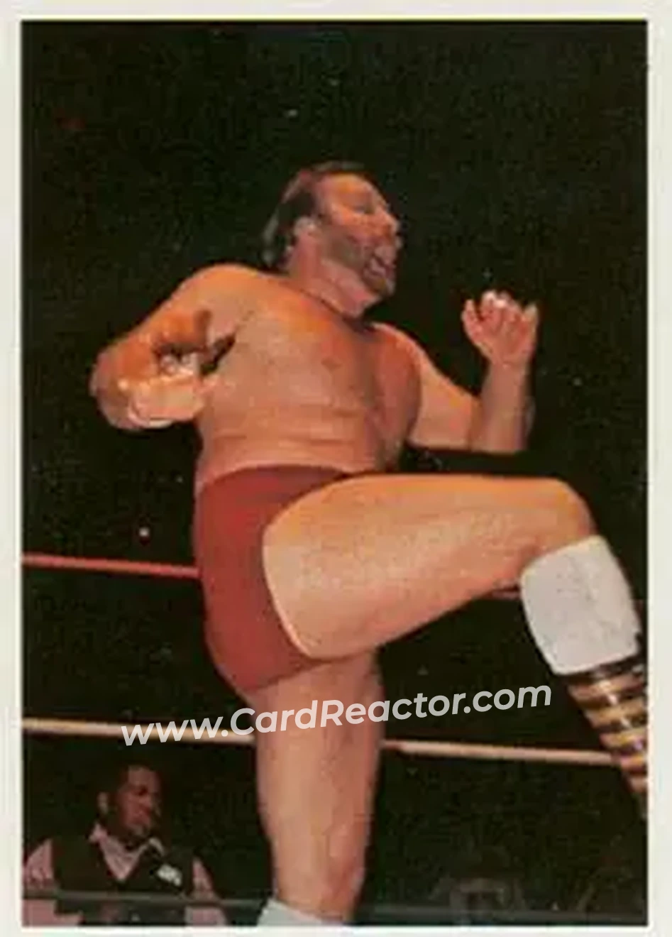 1988 Wonderama NWA #193 - Ole Anderson