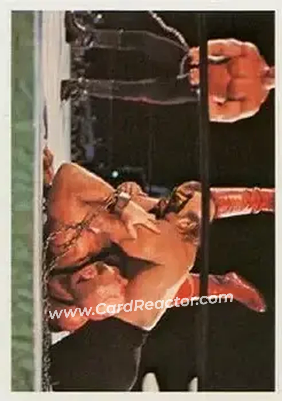 1988 Wonderama NWA #196 - Road Warrior Animal