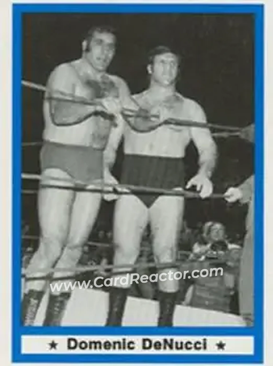 1991 Imagine Wrestling Legends #17 - Dominic DeNucci
