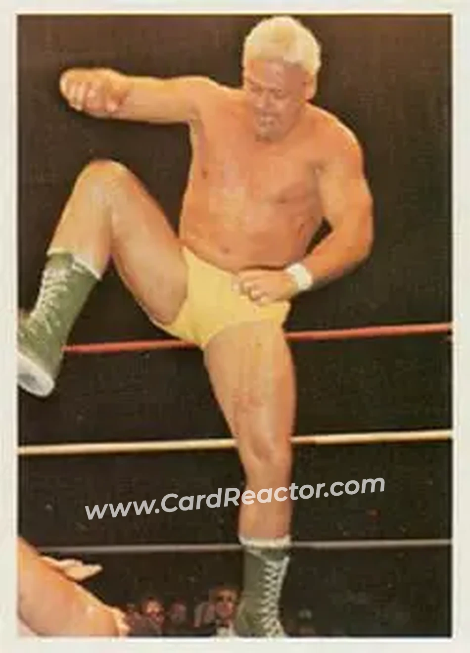 1988 Wonderama NWA #200 - Rugged Ronnie Garvin