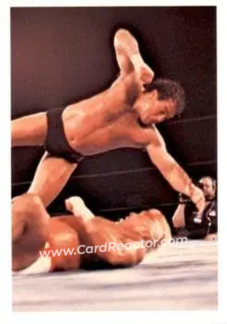 1988 Wonderama NWA #202 - Tully Blanchard