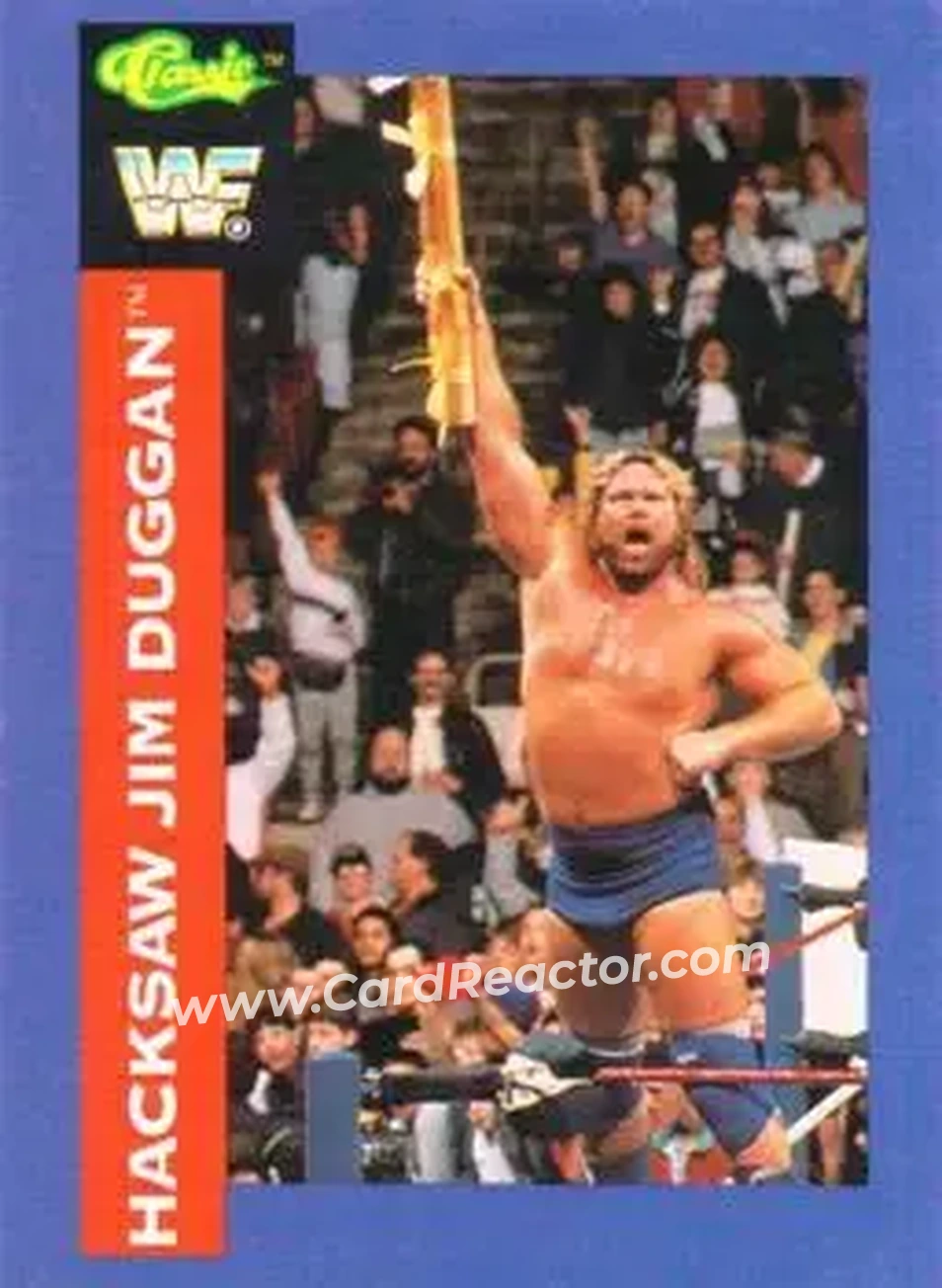 1991 Classic WWF Superstars #38 - Hacksaw Jim Duggan