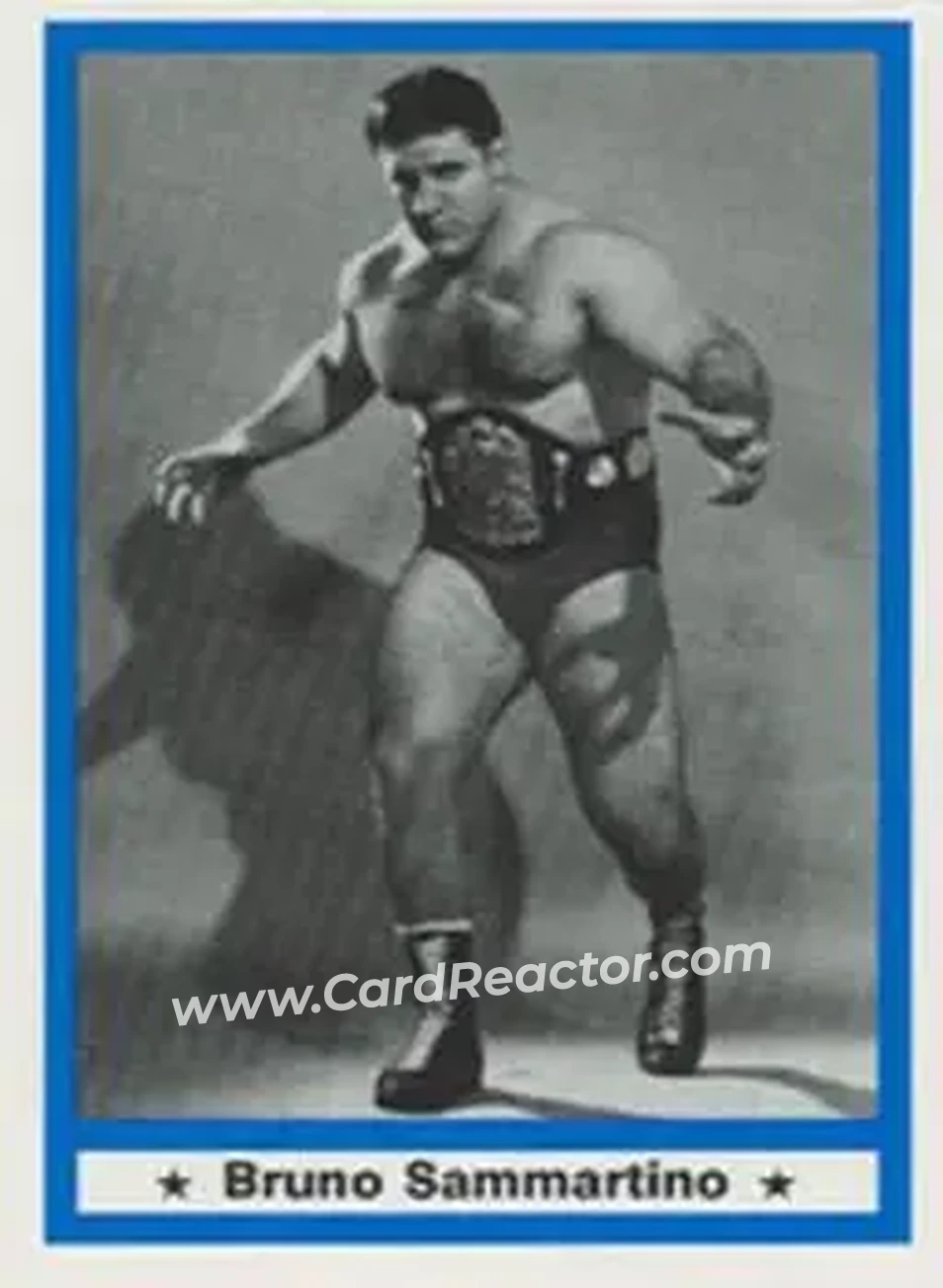 1991 Imagine Wrestling Legends #24 - Bruno Sammartino